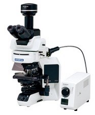 fluorescence microscope olympus bx53